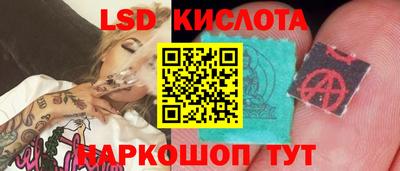 ECSTASY Новозыбков
