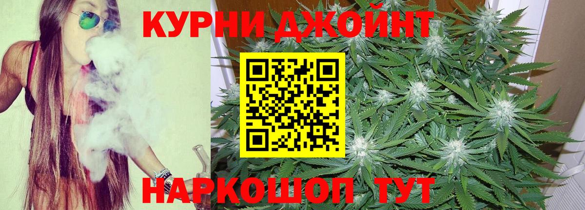Шишки марихуана план Ставрополь